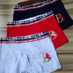 Authentic Luxury Underwears – Wholesale Pallets