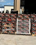 Milwaukee M12 FUEL 6" Hatchet and EGO Power+ CS1800 Chainsaw Pallet - Image 2