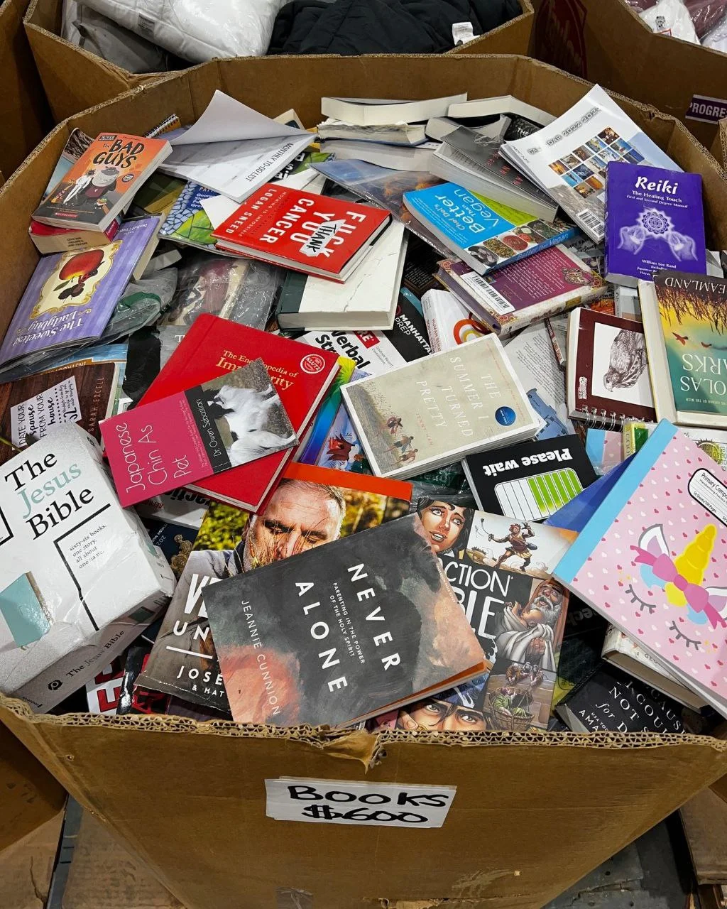 bk1 Wholesale Books Liquidation Pallets - Image 1