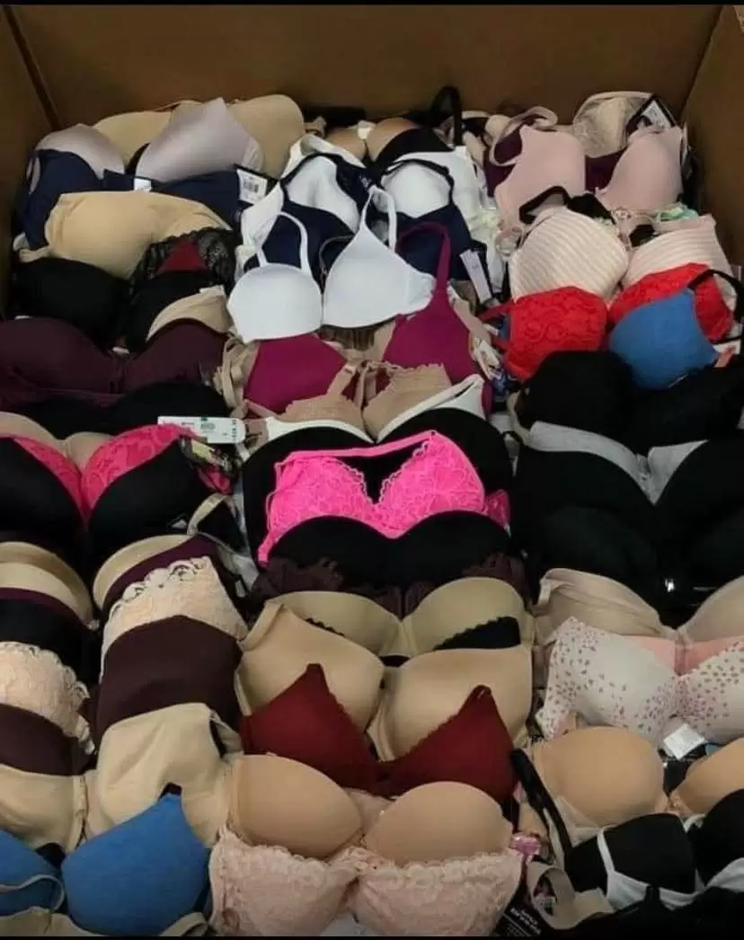 Buy Bra Pallets Online